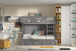 Litera 6