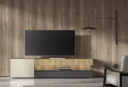 Mesa TV 17